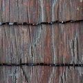 REF202108031026