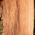 REF202108031197