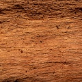 REF202108031205