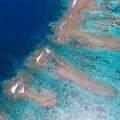 REF201812040132