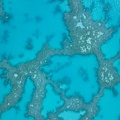 REF201812040004