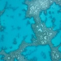 REF201812040005