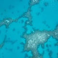 REF201812040006