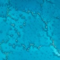 REF201812040022