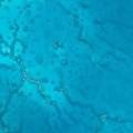 REF201812040027