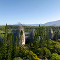 REF202504220733
