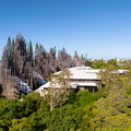 REF202504220741