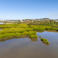 REF202504220806
