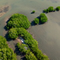REF202504220810