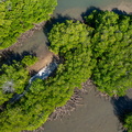REF202504220811