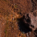 REF202105272678