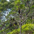 REF202102106858