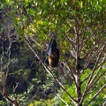 REF202102106876