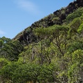 REF202102106912