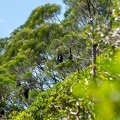 REF202102107011
