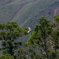 REF202102107648