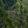 REF202102107735