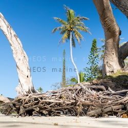 IDP-Erosion du littoral