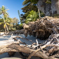 REF202410071764