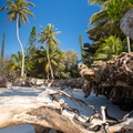 REF202410071771