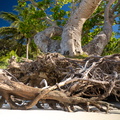 REF202410071782