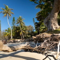 REF202410071790