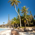 REF202410071799
