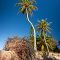 REF202410071808