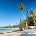 REF202410071832