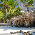 REF202410071844