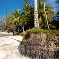 REF202410071922