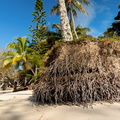 REF202410071926