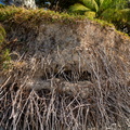 REF202410071961