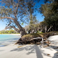 REF202410071967