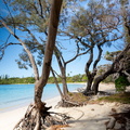 REF202410071998