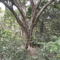 REF202411072107