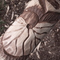 REF202411072309
