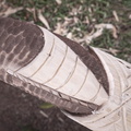 REF202411082536
