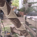 REF202411082564