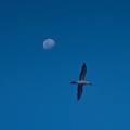 REF202201130297