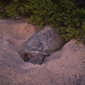 REF202201152189