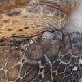 REF202201153528