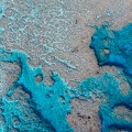 REF202008130062