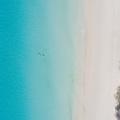 REF202008190019
