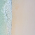REF202008190065