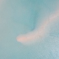 REF202008140495