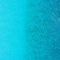 REF202008110970