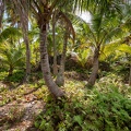 REF202008100590