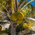 REF202008100761