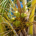 REF202008100763